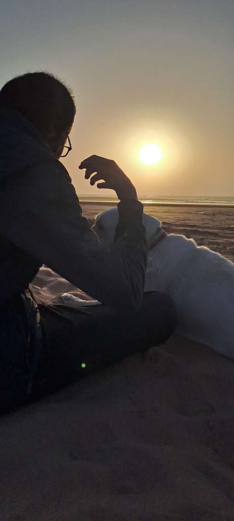 arya fibrosarcoma in dogs